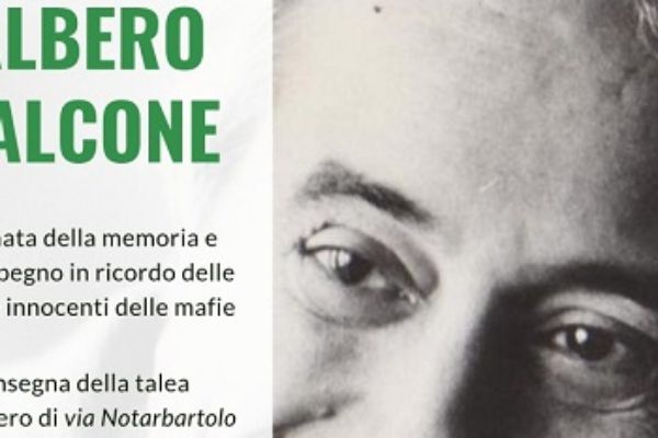 Albero falcone