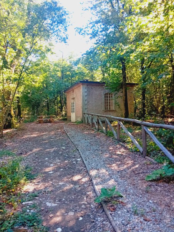 Bosco Fornace vecchia